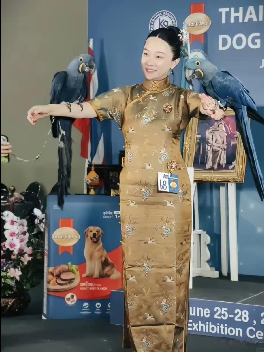 霍思燕成了动物专家训练师，不但狗争气，鸟也争气[捂脸哭]，这个赛道独一人，她家是有