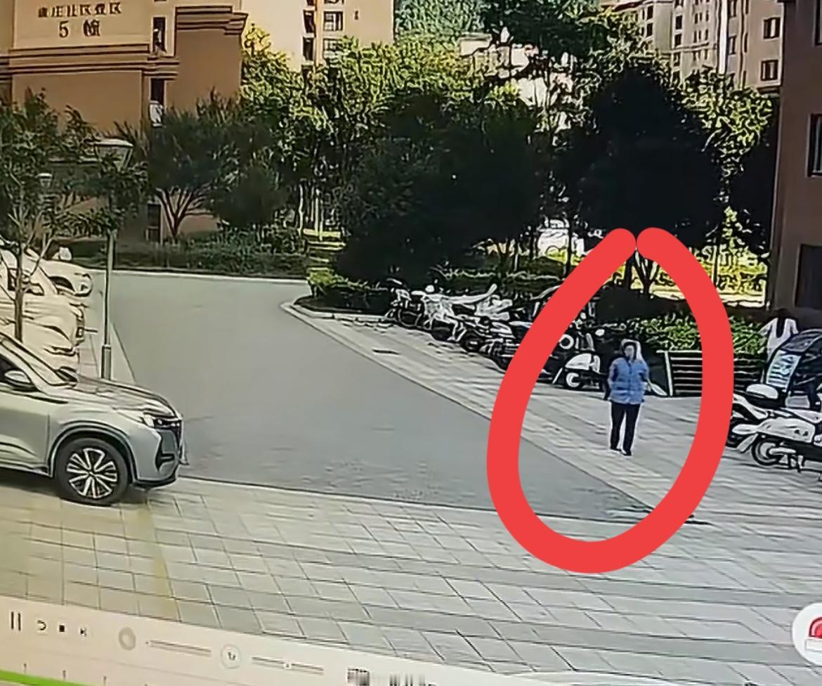 小区里一个老太捡了邻居的手机马上关机，报警后警察查监控找到她家。邻居答应给她一点