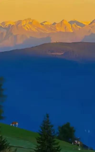 陈道明对女儿的忠告：“选男人要切记，教养和文化是两回事，有的男人很有文化，