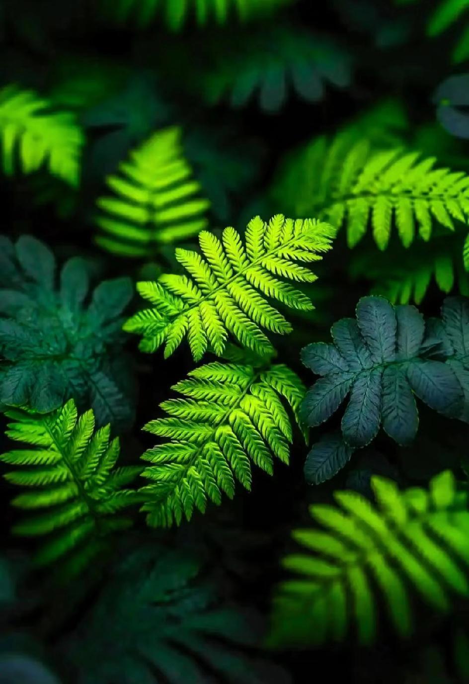 真聪明的人，从不抢着说话。你一开口，别人就知道你几斤几两。成年人的体面，是嘴