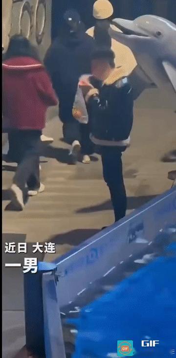 “这男子太没素质了!”辽宁大连，海洋馆内，人们正在围观白鲸的精彩表演，一名男性游