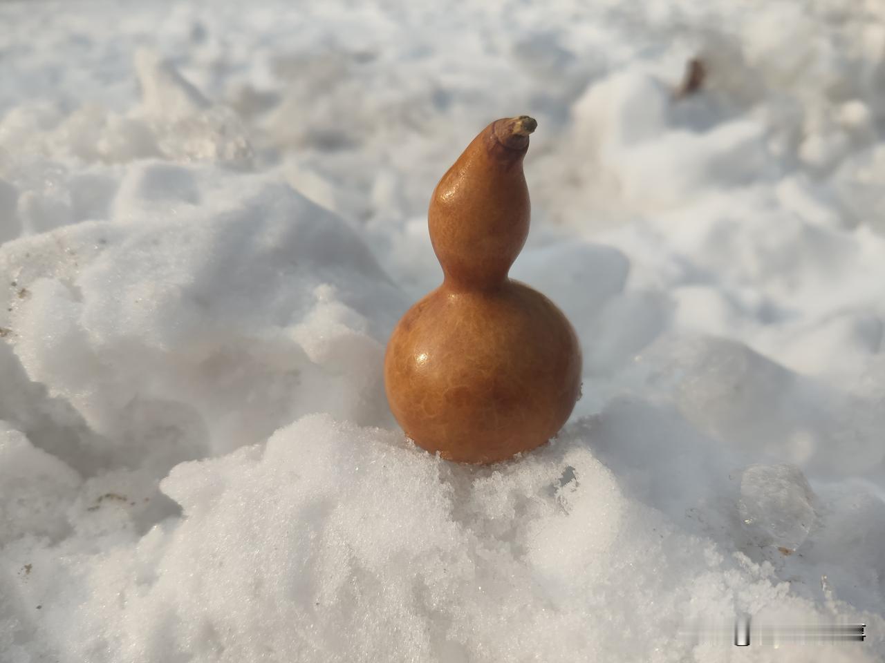 现在的人啊！真是无法形容了！小区里发生了一件不可思议的事儿，一业主骑着自行车出去