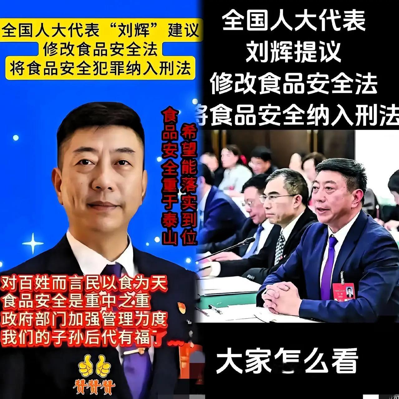 “全国人大代表刘辉提出了一个令人瞩目的提案，食品安全纳入刑法都支持吧白块”