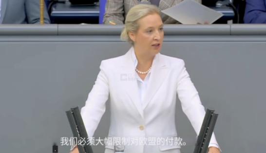 摊牌了！德国选择党领导人魏德尔直接放狠话：每周10亿欧元哗哗流向布鲁塞尔，真