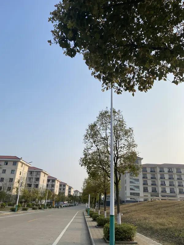 孩子走单招到底有没有出路?现在又到了报考单招的时候，那么走单招对于孩子来说，到