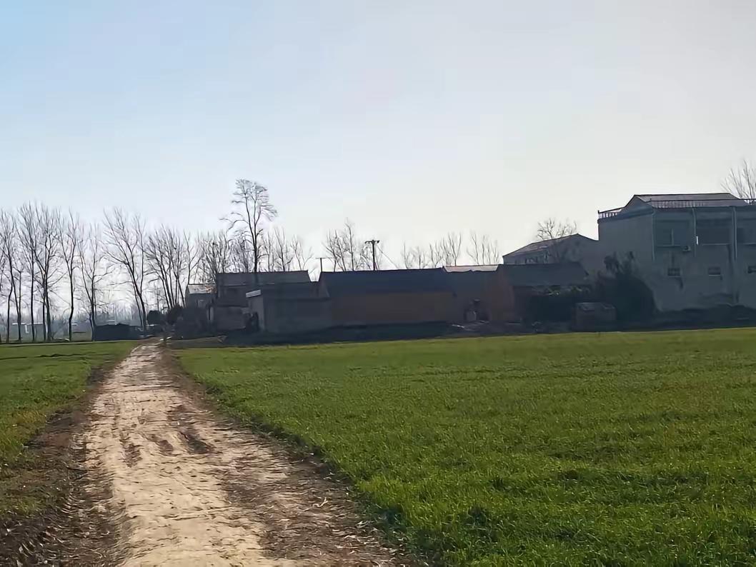 我退休金6000，每月补贴儿子4000，儿子说：妈，你回老家住吧，我媳妇说你身上