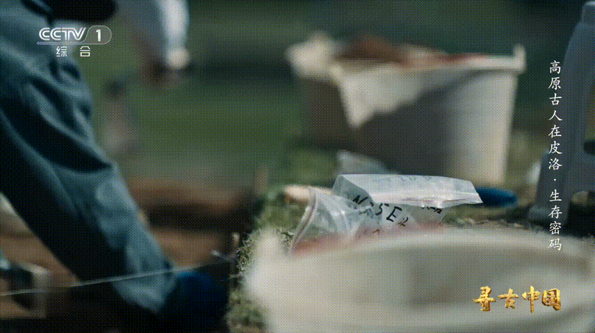 青藏高原有多处远古人类痕迹家人们谁懂啊！四川稻城皮洛遗址的地层简直就是本无字史书