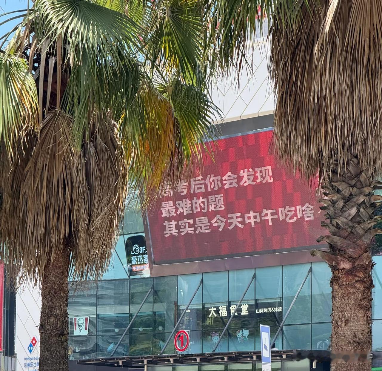 真不明白现在的大学四年有什么用？武汉某高校大四学生小陈最近给家里打了一通石破