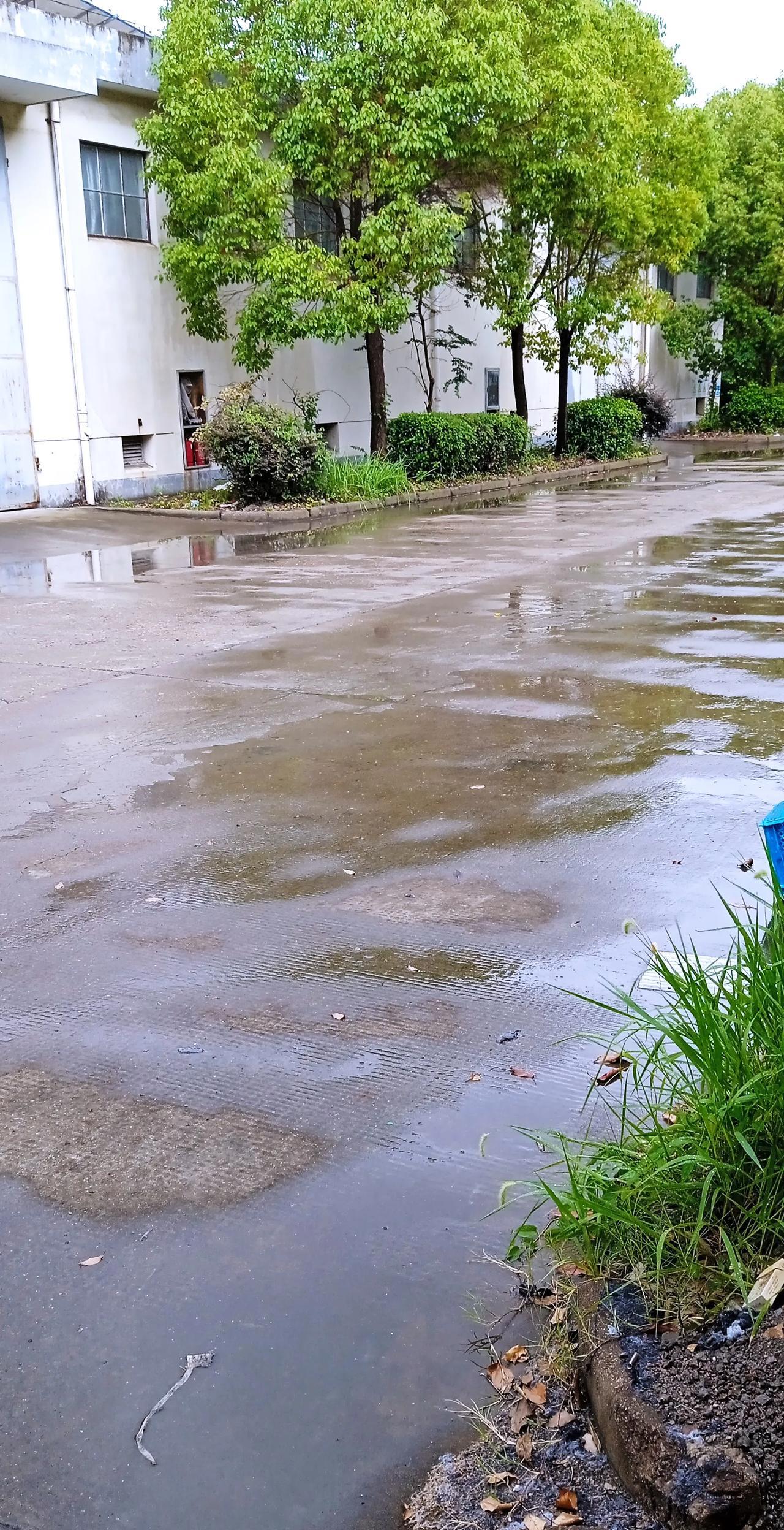 这雨啊，你下，还是不下，痛快点儿。天天好似孕妇难产一般，把人折腾得筋疲力