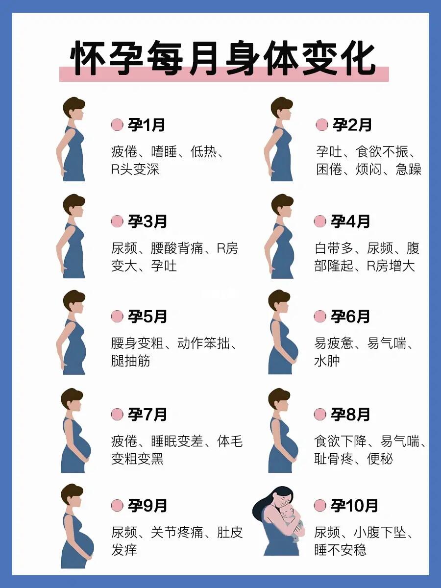 怀胎十月变化❗️附孕期注意事项➕要做的事‼️