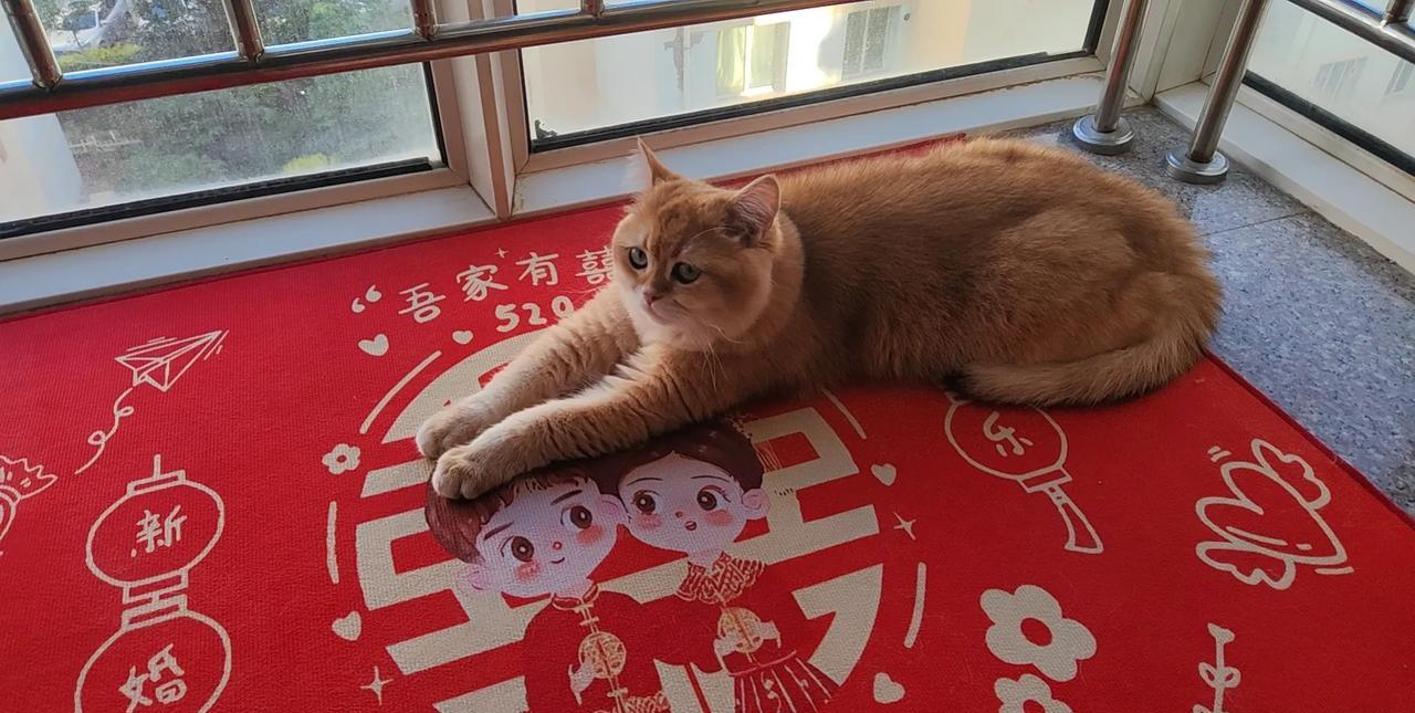 把人性的裤衩子扒光了的话？1.人敬富，狗咬贫，落魄之人看清人2.社会不相信眼