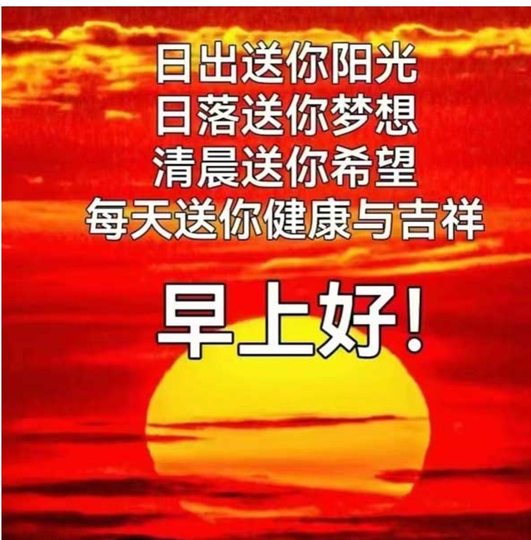 周一清晨，送上问候；崭新一周，带着开心；问声早安，带着真诚；祝友平安，带着