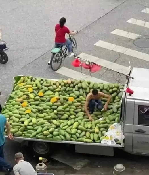 大哥一定是个营销鬼才！一车芒果，2小时卖完！厉害！