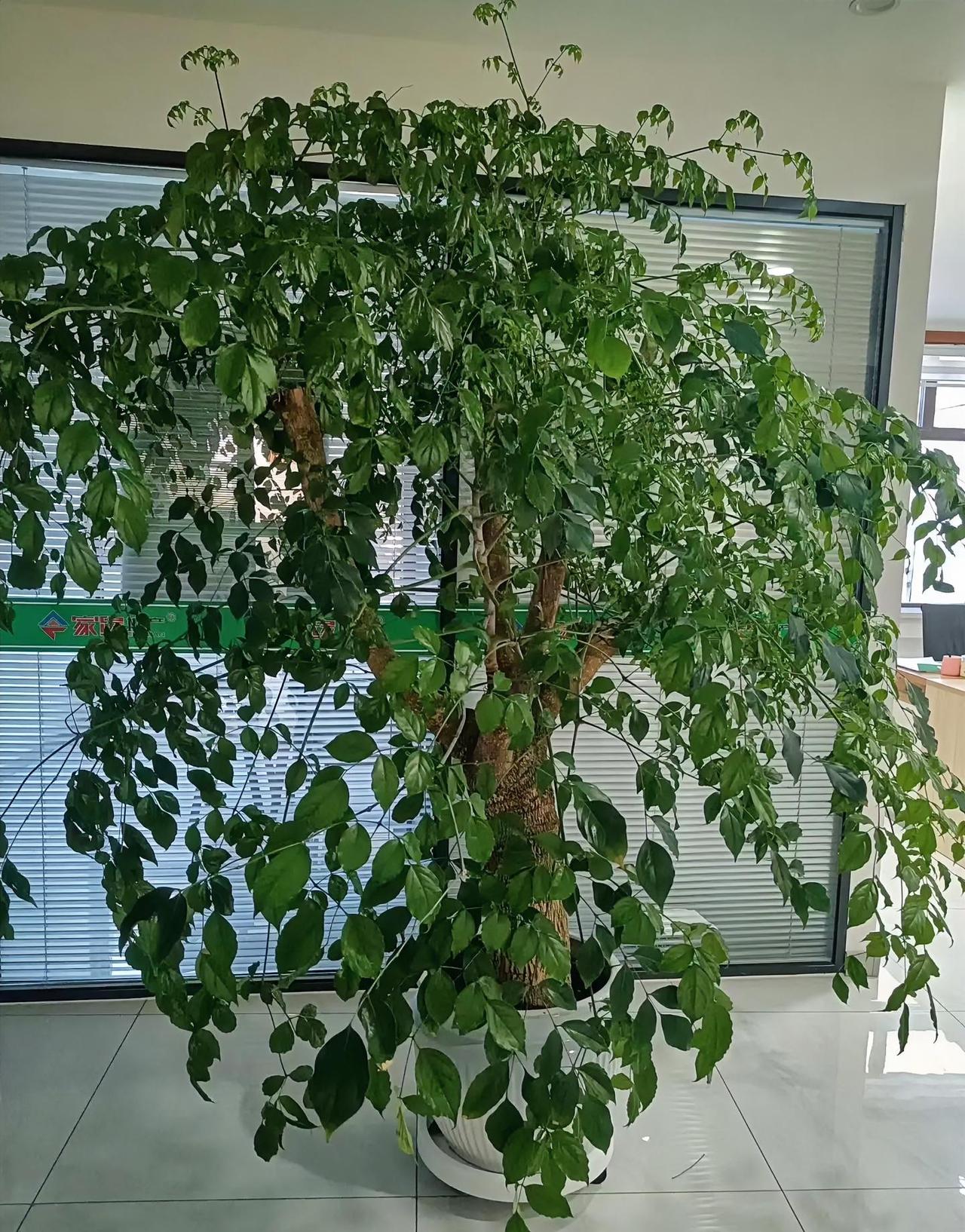 包钢的那声巨响，有些人沉默了，不是刷手机的看客，也不是被砸房的的，而是守在工作岗