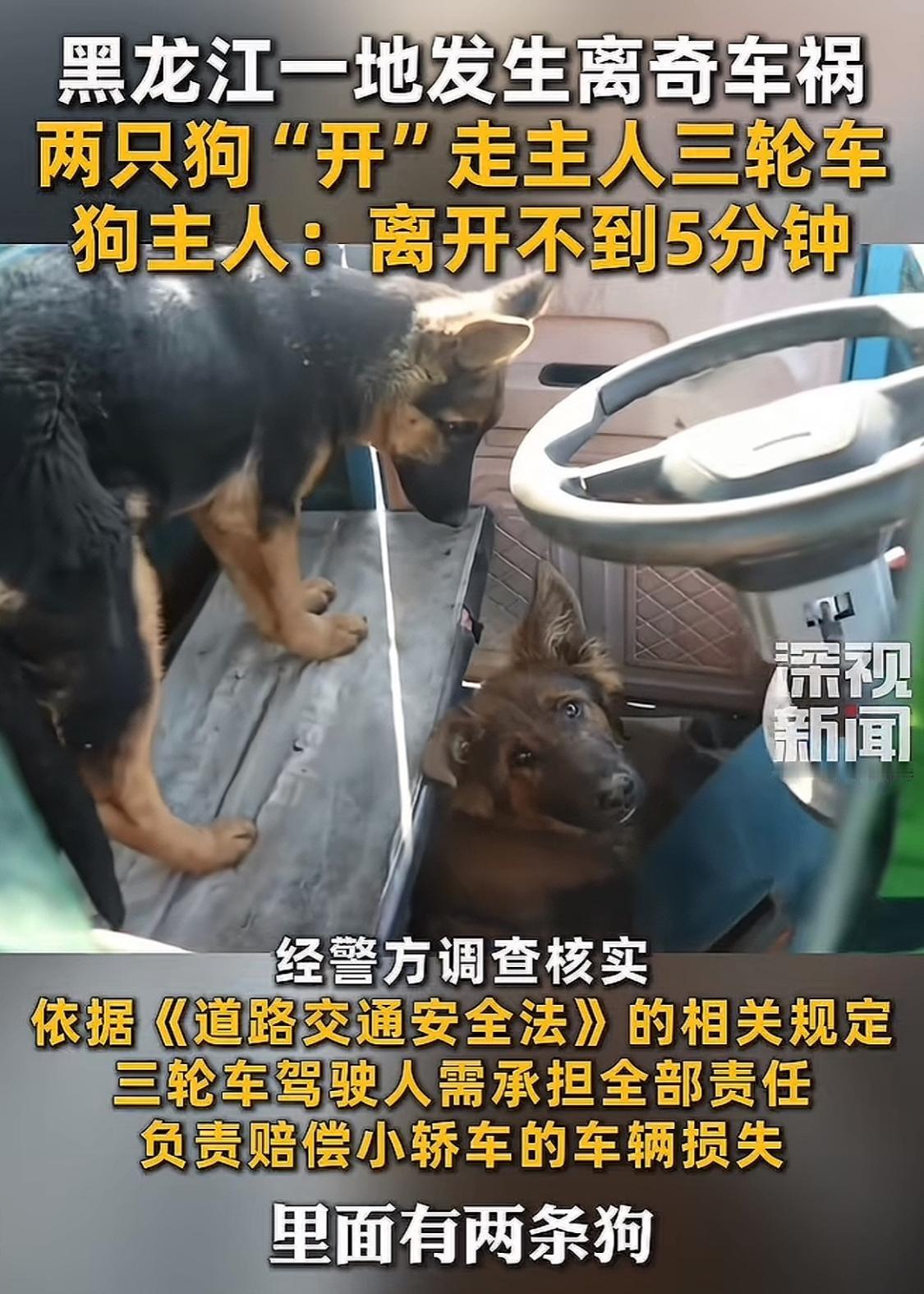 “这下解释不清楚了！”黑龙江大庆，街头发生了一个离奇的车祸，一辆轿车好端端在路上