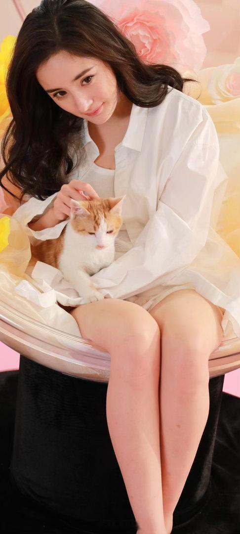 杨幂生图素材小猫咪