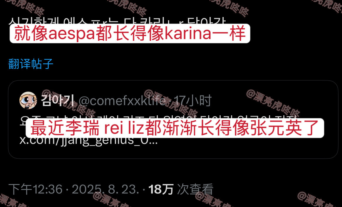【twi】“最近李瑞reiliz都渐渐长得像张元英了”-“就像aespa都长