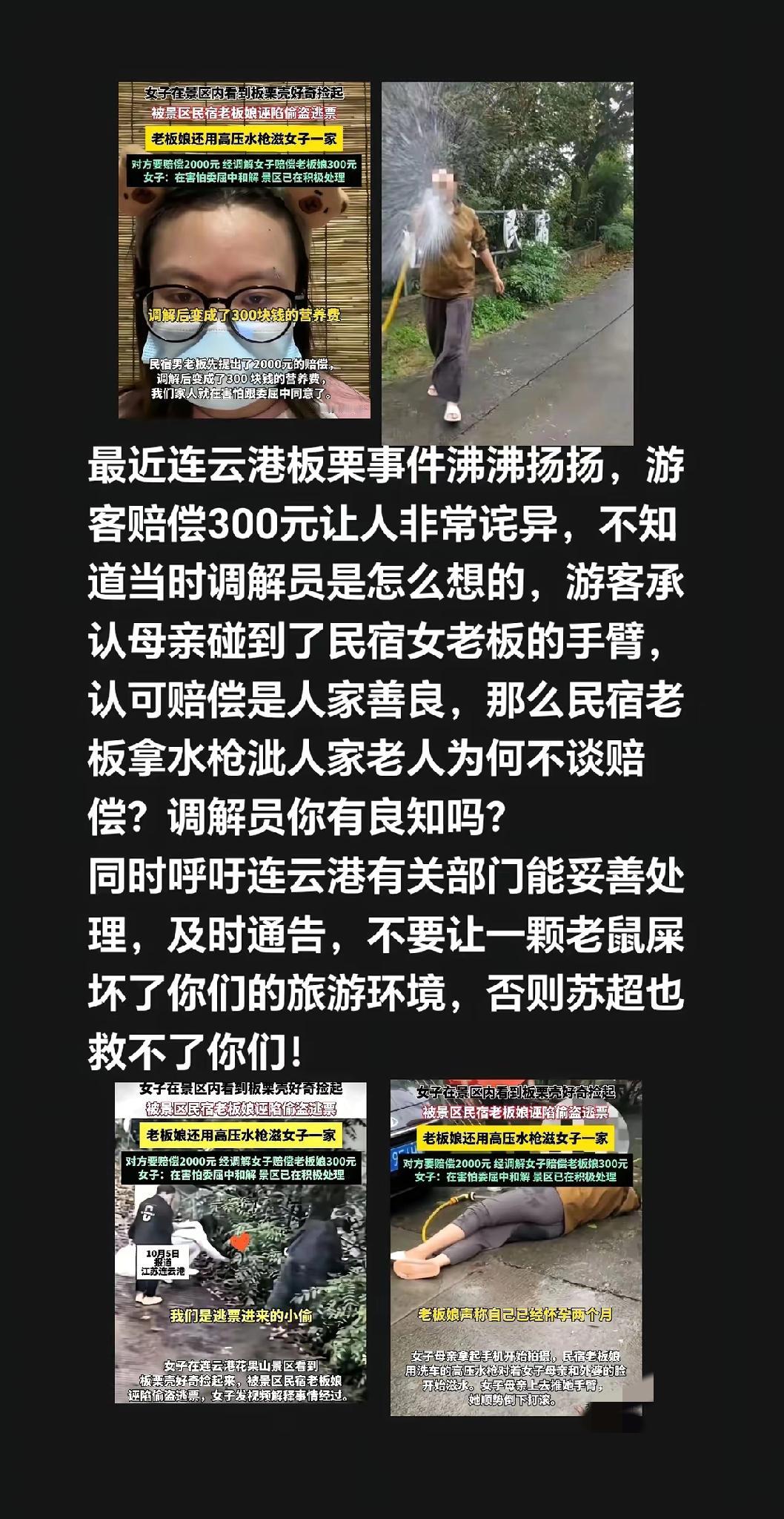 刷到连云港板栗事件的反转，觉得又气又好笑！游客一家只是捡了个板栗壳看看，民宿老板