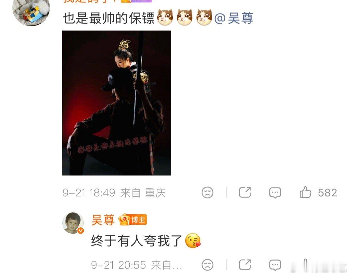 #吴尊说自己是NeiNei永远的保镖##吴尊回应是NeiNei永远的保镖#吴尊单膝跪地拿着长枪守护N