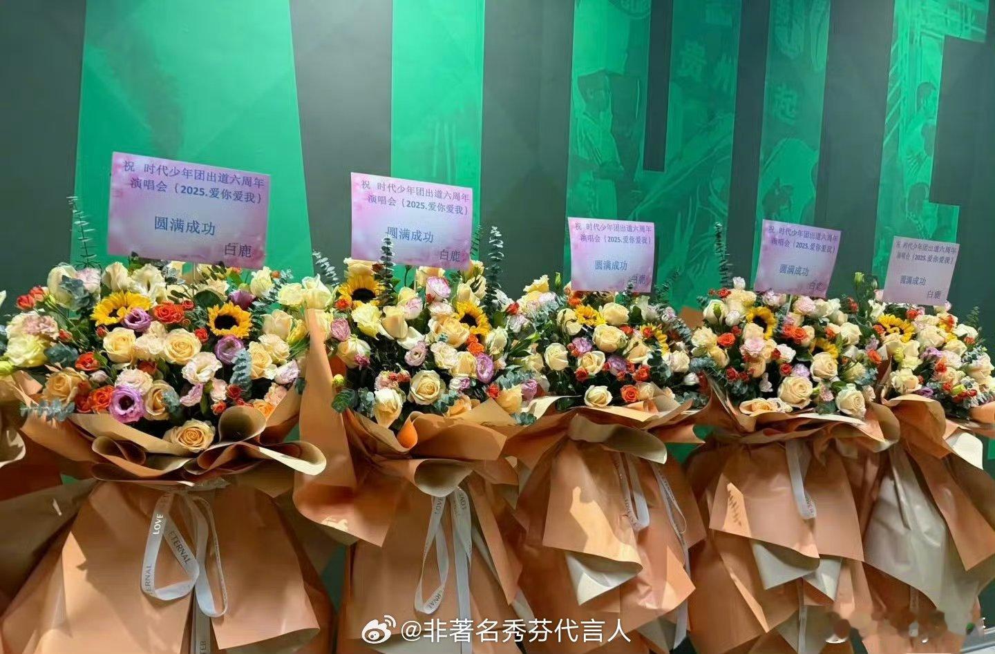 白鹿怎么那么好！！！