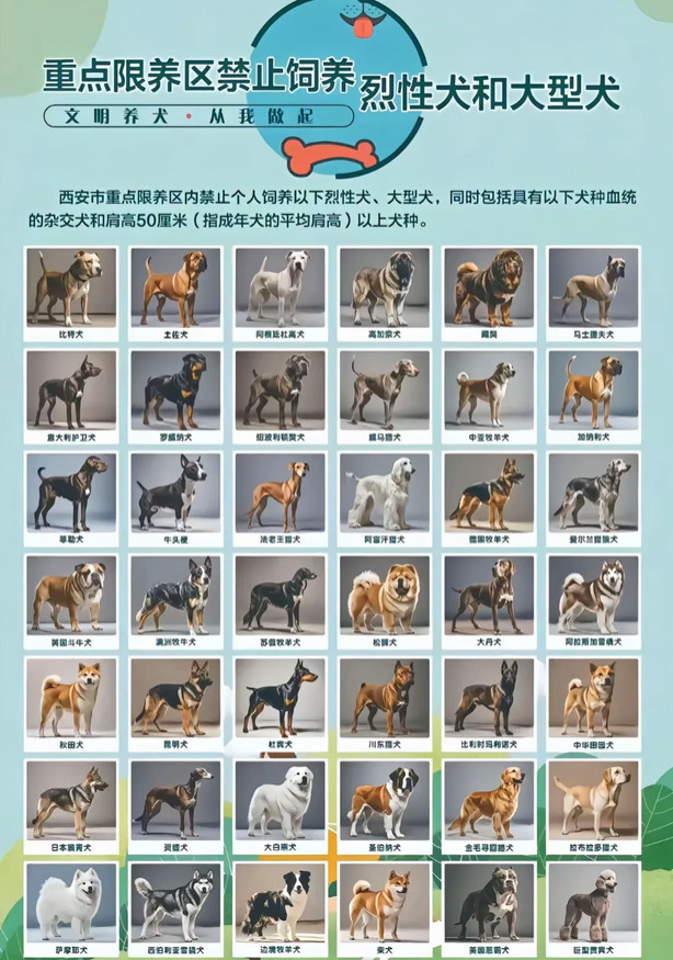 最近一张图疯传，让养狗人士纷纷感到愤怒。没错就是这张重点限养区烈性犬和大型犬