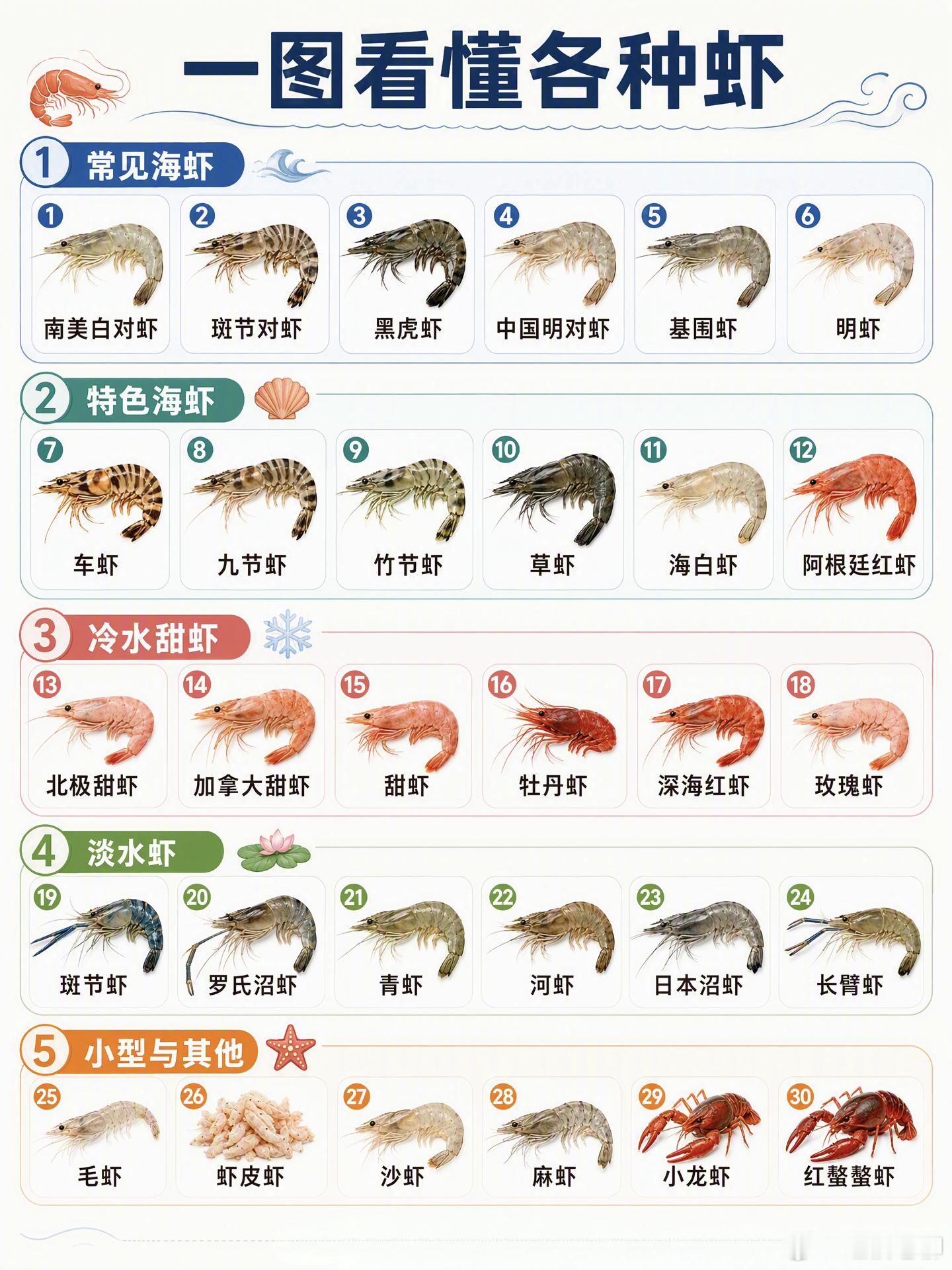 涨知识：一图看懂各种虾！美食分享