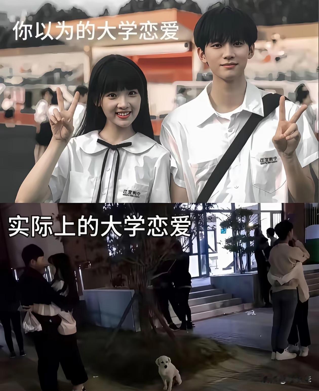 有没有现在大学生出来说说，这是真的吗？
