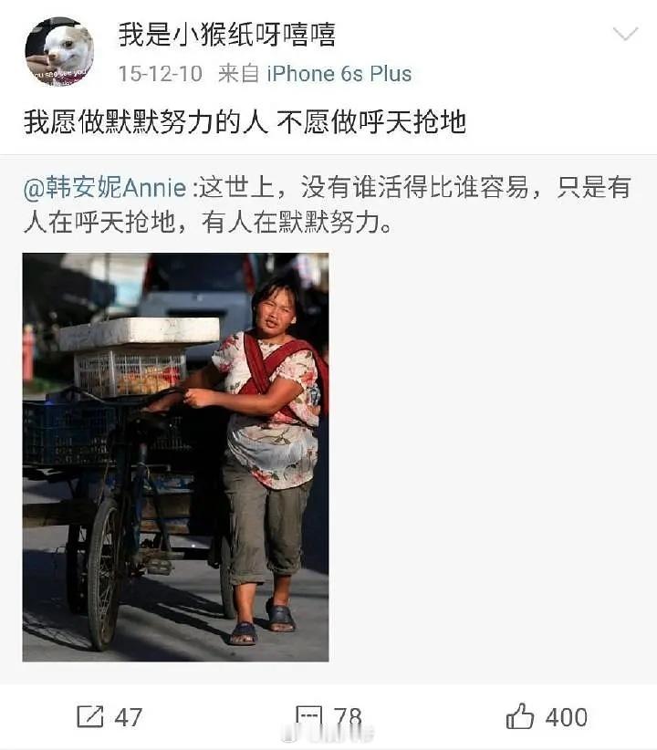 杨紫小号25年的发言​​​