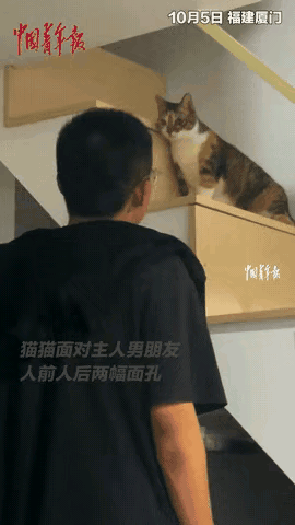 “简直成精了！”福建，女孩带男朋友回家，男朋友觉得女孩养的猫咪对他很友好，于是女