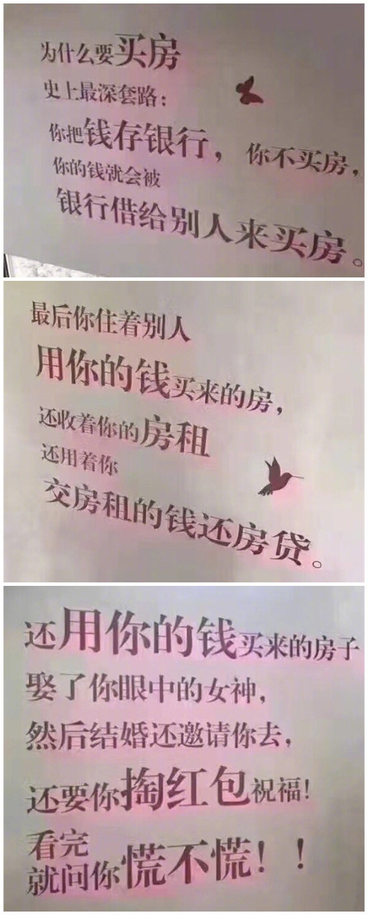 8财经为什么要买房这个理由让人无力反驳