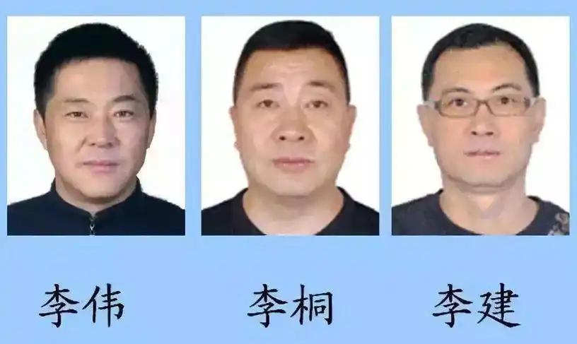 哈尔滨电霸李氏三兄弟覆灭！电力国企干部化身涉黑头目，卡电索贿垄断配套工程，王云峰