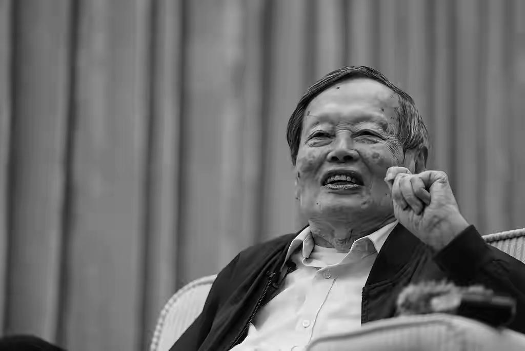 这话听起来够带劲吧？像一把锤子，“哐当”一下砸在我们对年龄与成就的固有认知上。杨