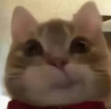 一毛一样