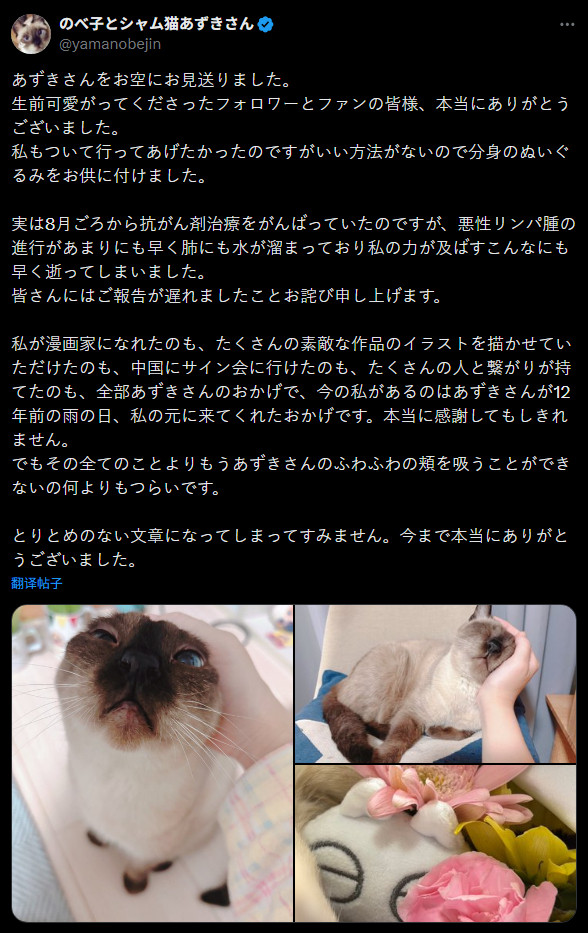 暹罗猫小豆泥画师在确认原型猫小豆泥因恶性淋巴瘤去世[哭哭]暹罗猫小豆泥去世​​​