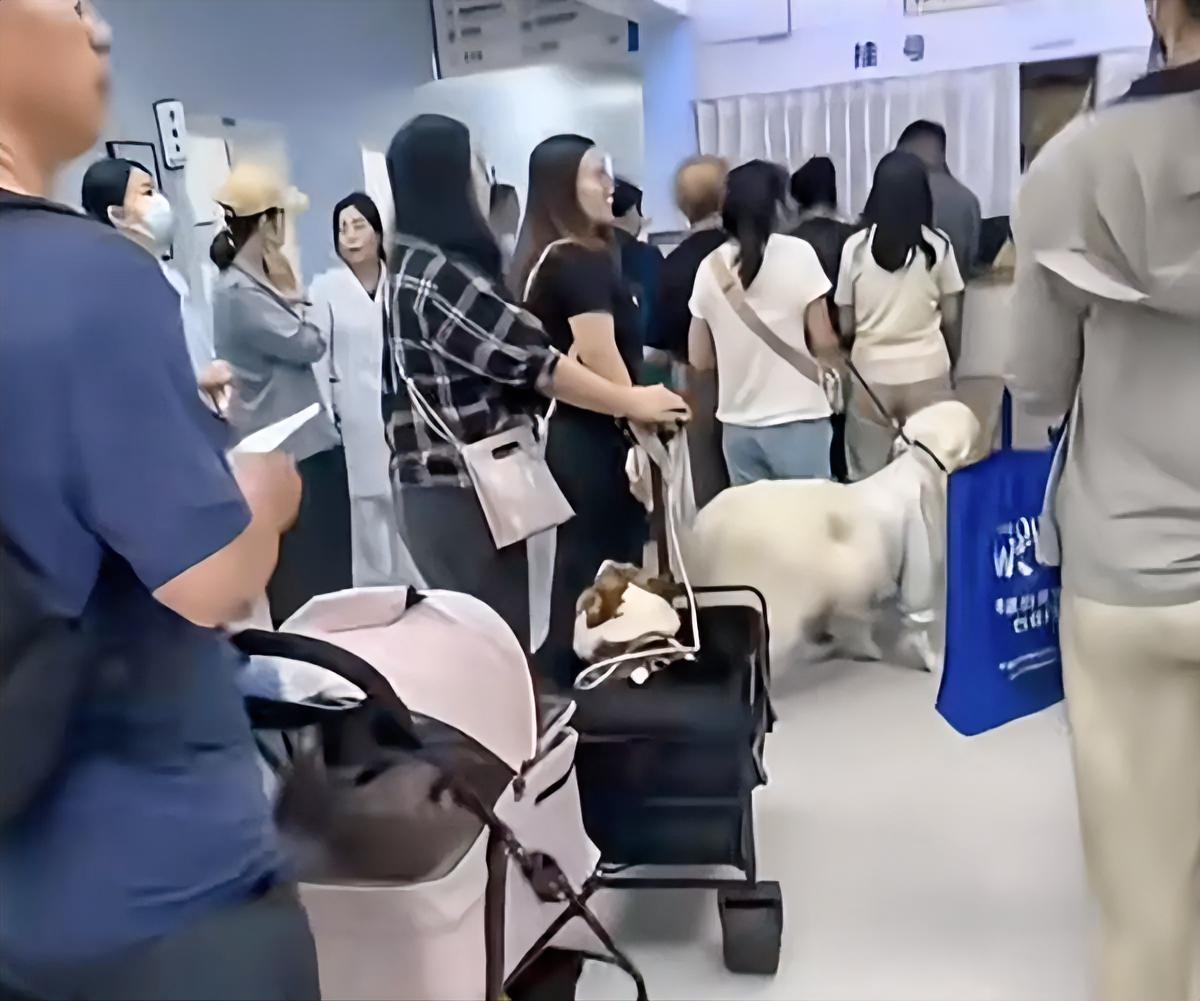 听了医生朋友透露才知道，原来挂号费不是给医生的，只是医院的一个收费标准，而