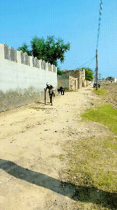 三哥家里的二三事