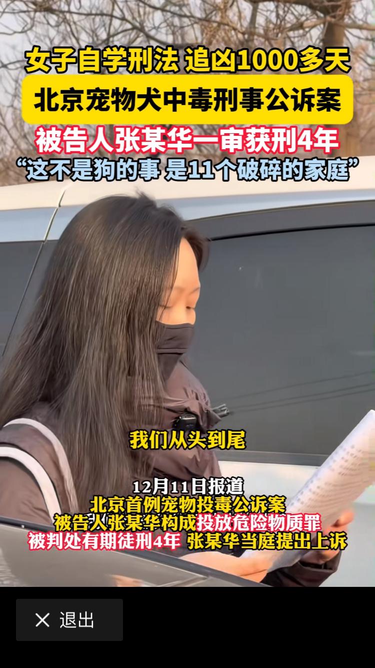 毒死狗狗的案件尘埃落定，投毒者判刑四年。这边女士的坚持，给狗狗的在天