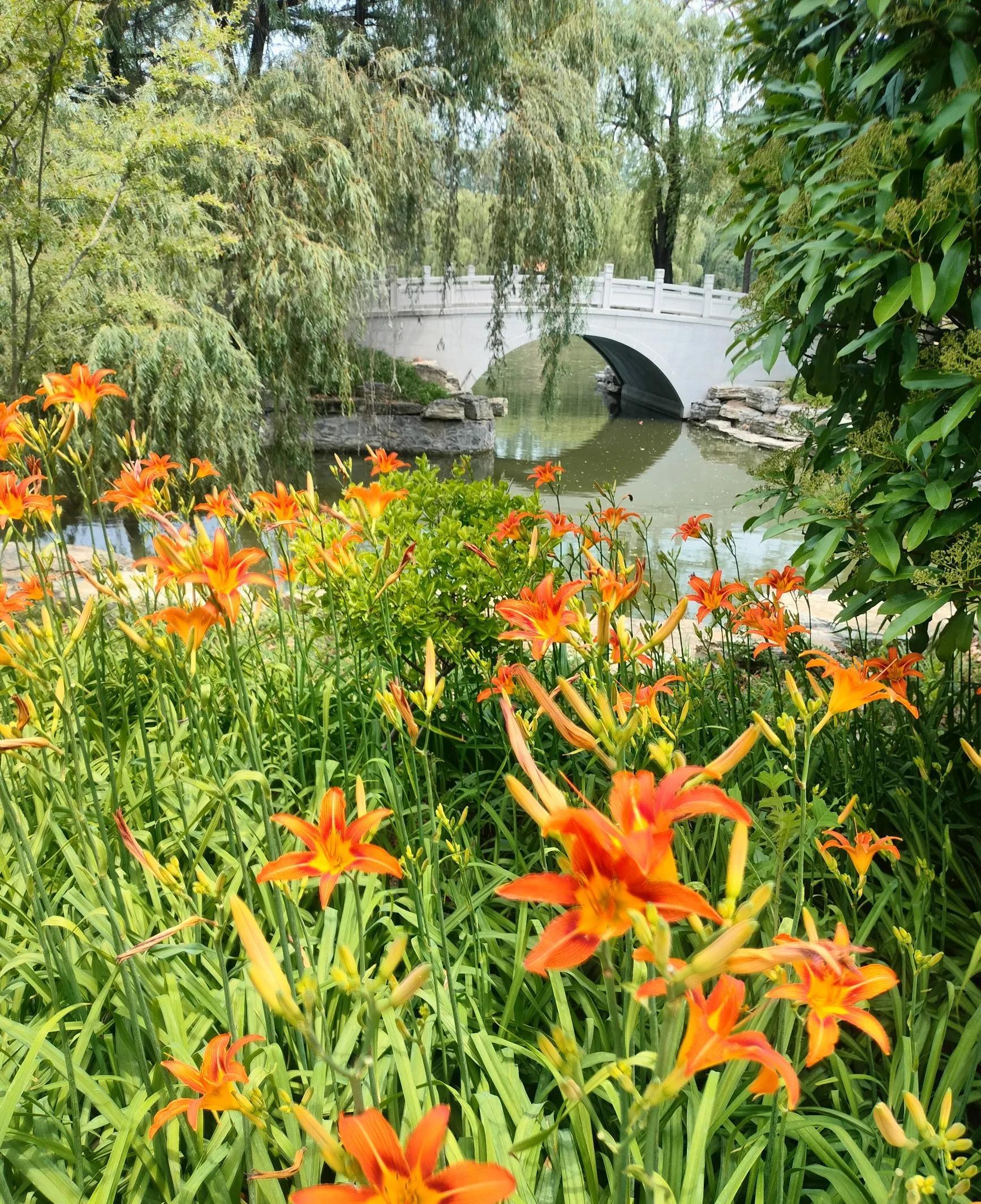 端午节第二天，儿媳妇抖音暗示：孩子的奶粉钱、衣服钱，都得我们出？假期第二