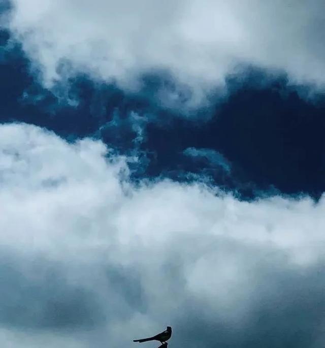 一张照片最难的地方，有时候不是找到美景，而是在美景面前学会克制。很多人面对壮