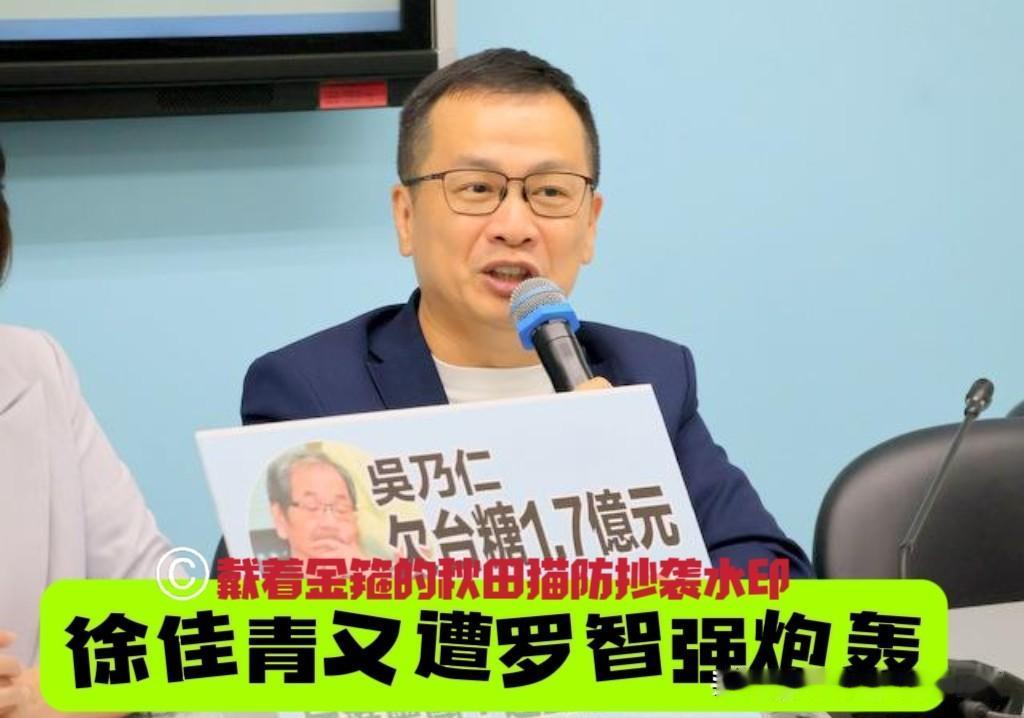 徐佳青考察狂烧2300万公帑！罗智强怒呛：岛内每人捐1元让她玩，民脂民膏都给她用