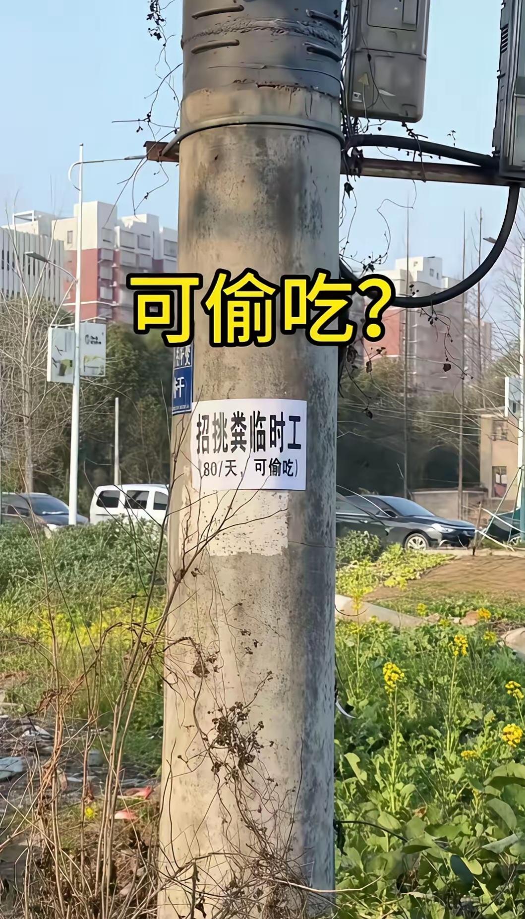 就问你这工作怎么样，就是不明白“可偷吃”是什么意思？