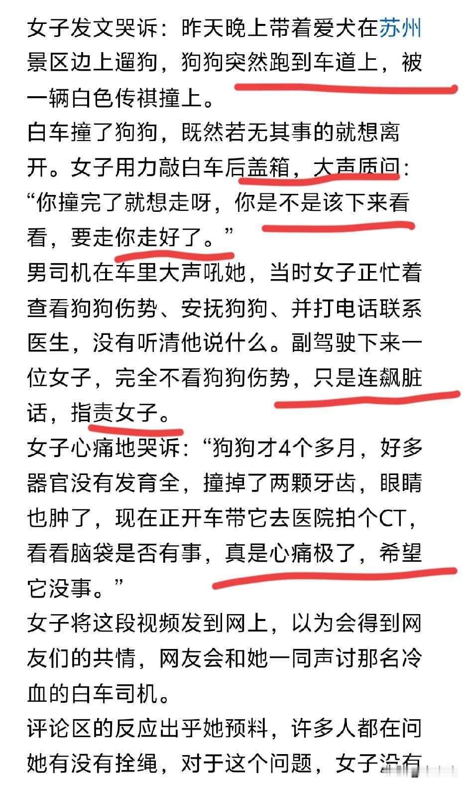 遛狗一定要拴狗绳啊！江苏一个女子出去遛狗，狗挣脱了绳子，女子也没管，后面跑到马