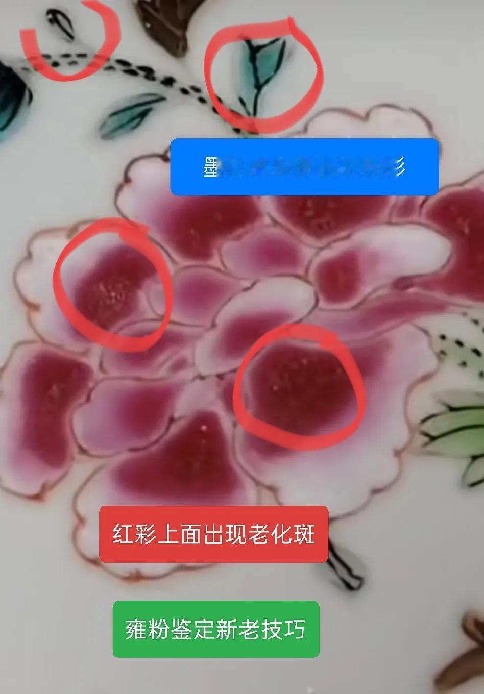 清代粉彩瓷器鉴定知识小技巧，古玩日常分享。清代粉彩瓷器瓷器鉴定知识王乾龙