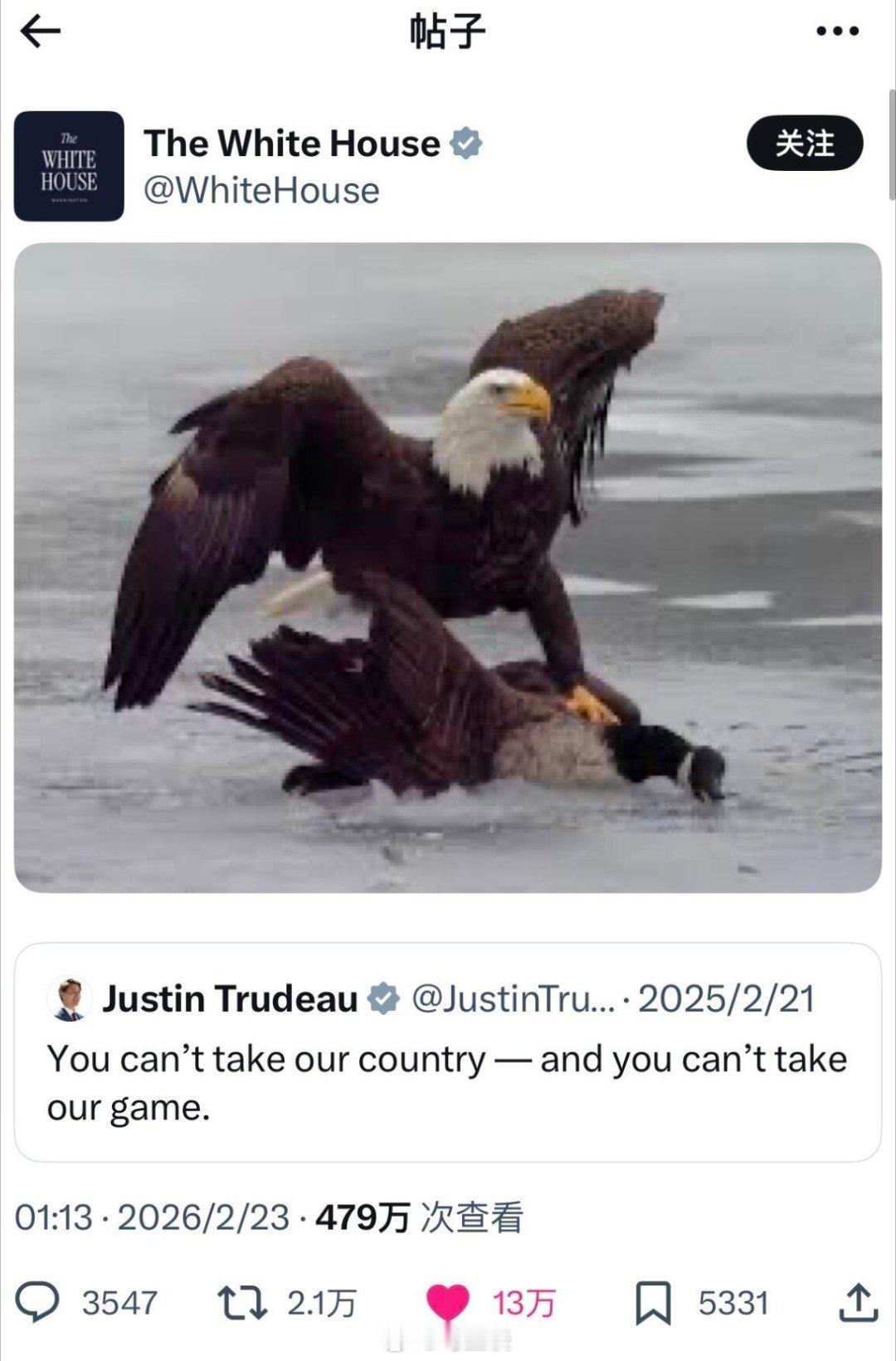 美国白头鹰痛揍加拿大鹅！你敢相信这是美国白宫官方账号发布的图吗？2月22日，米兰