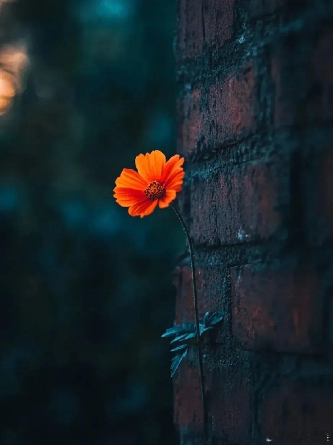 对于炒股的人来说，休市的时候就是悟道的时间，影响炒股的因素很多，交易系统和心态