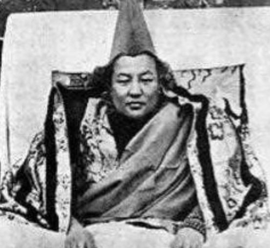 1943年，向国家捐献30架飞机、一万多张羊皮的五世嘉木祥活佛——丹贝坚赞，留下