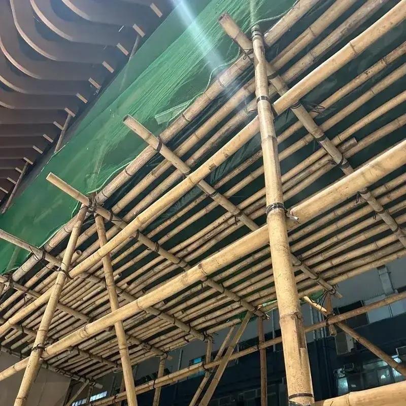 现在才知道，香港并没有强制使用金属棚架！究其原因，一方面香港有代表竹棚工人利益