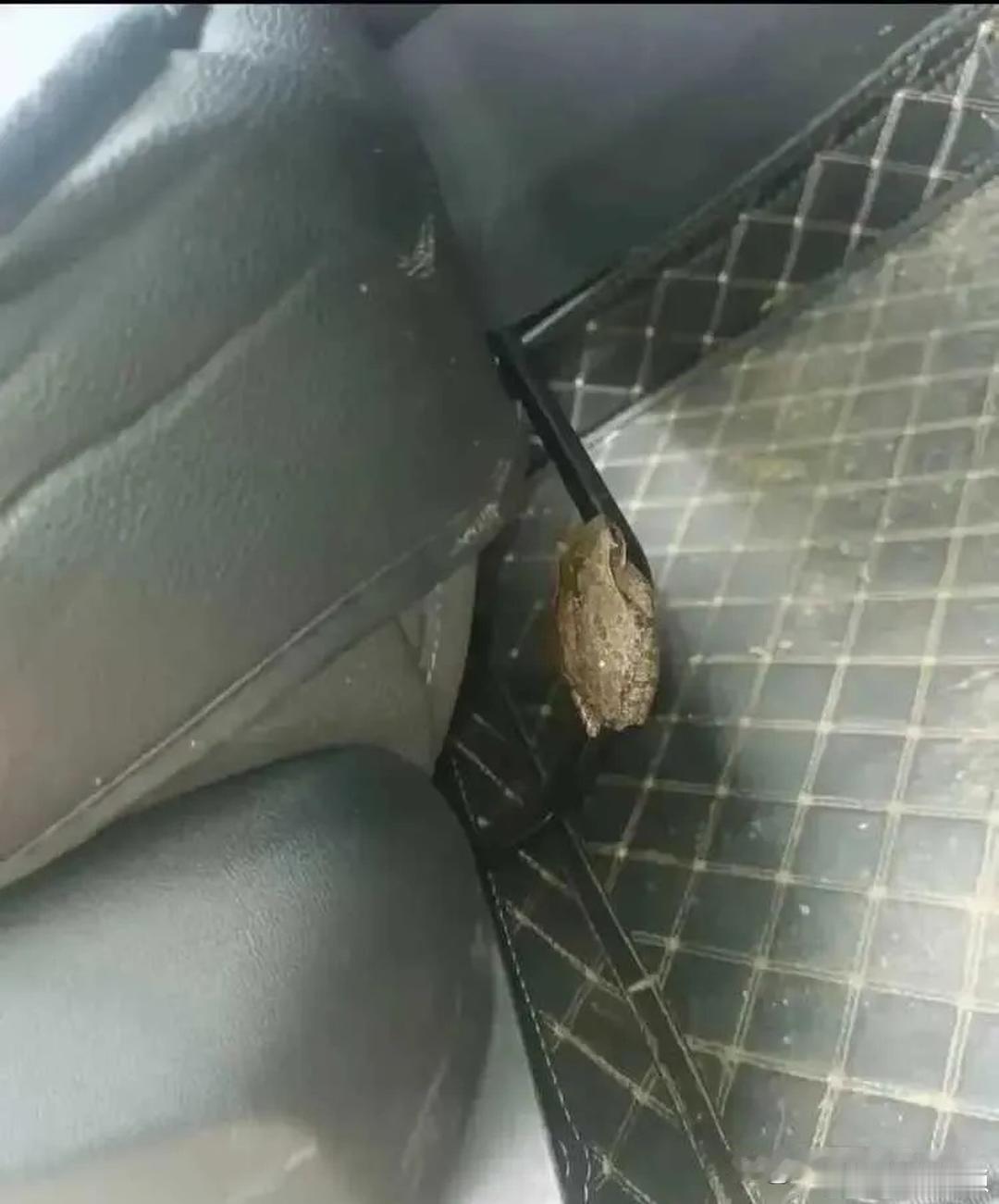 车上发现的，同志们怎么办