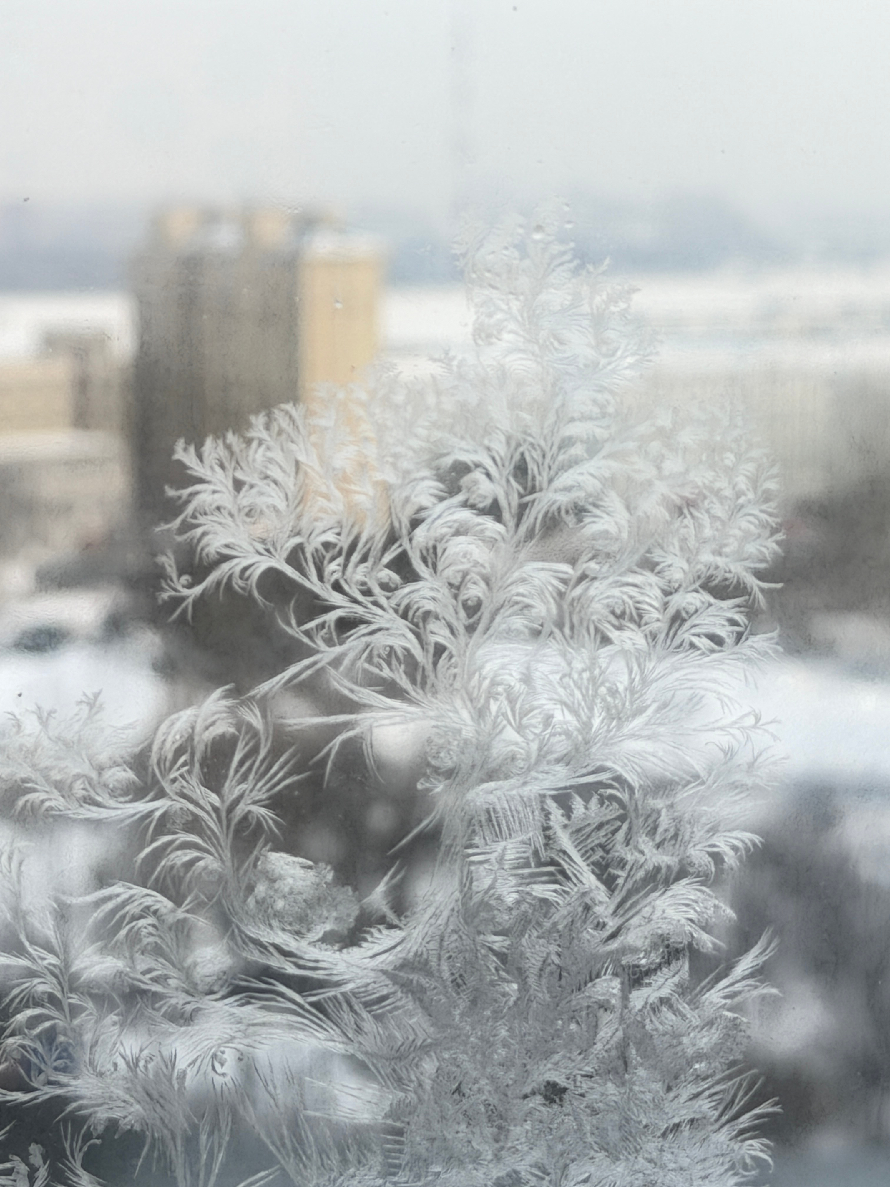 就算是来零下三十度的黑河出差，每天30分钟锻炼也不落下！没有借口，就是走起！