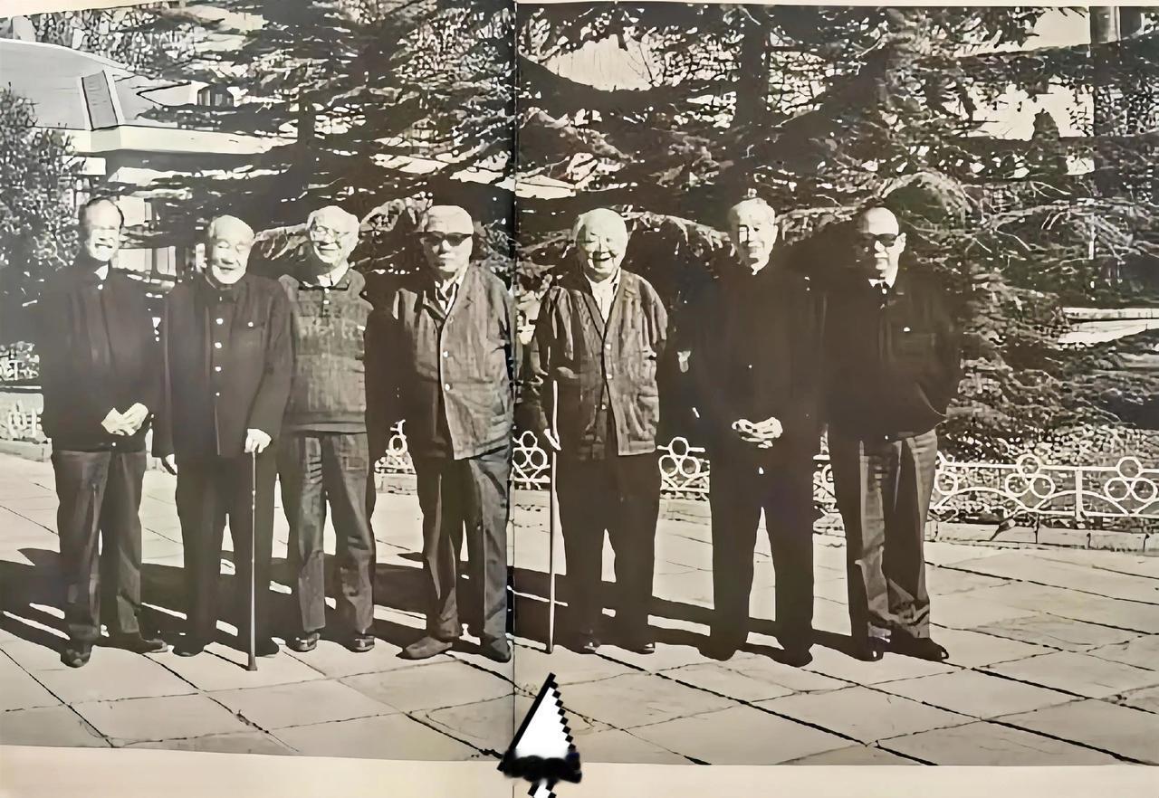 回看庞家旧事，依然让人脊背发凉。1986年是个绕不开的坎。那年谢稚柳、启功